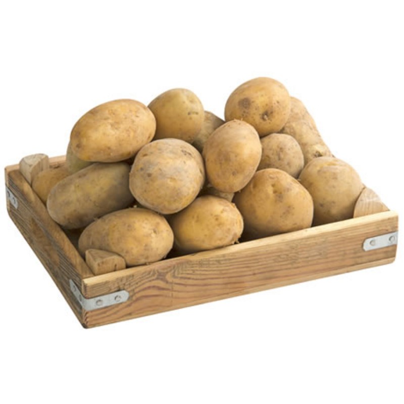 Örnek Ürün